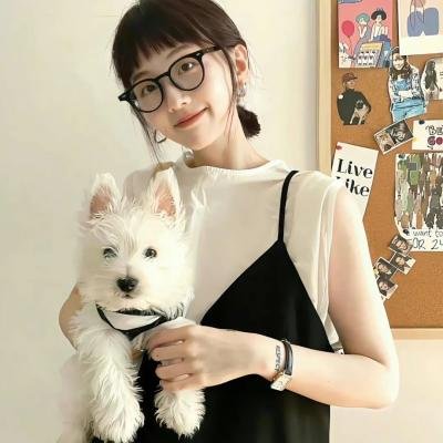 玉面威龙