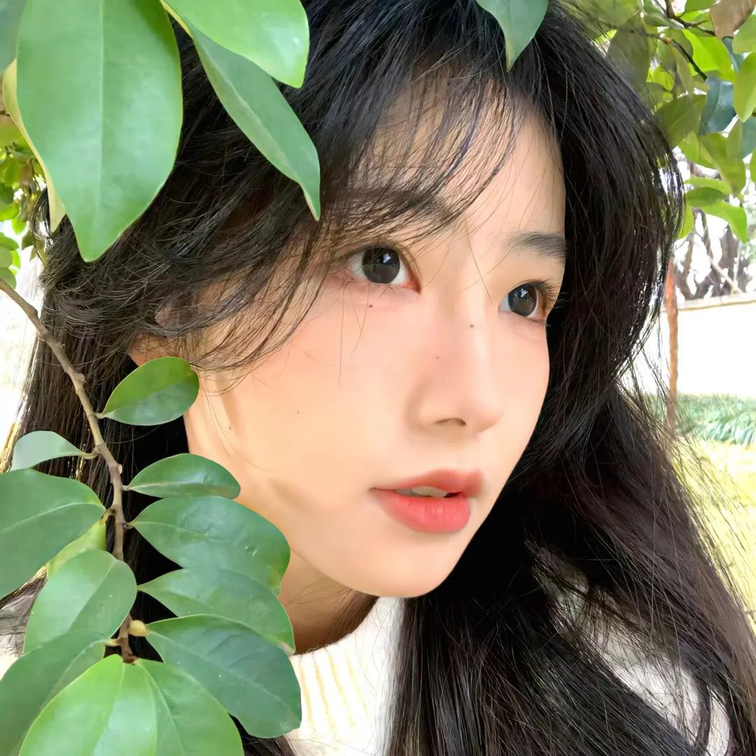 守林者第二季